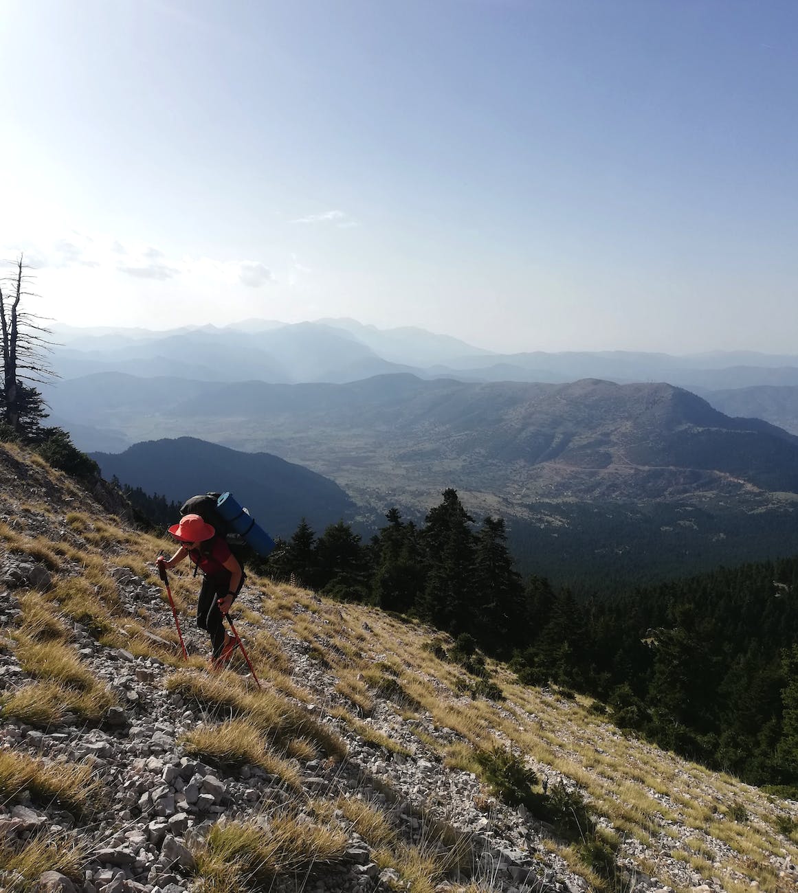 person standing on mountain